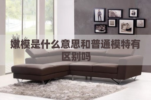 嫩模是什么意思和普通模特有区别吗