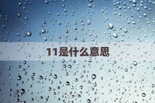 11是什么意思