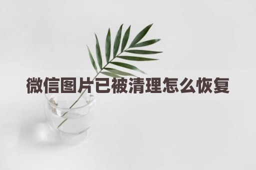 微信图片已被清理怎么恢复