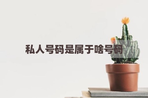 私人号码是属于啥号码