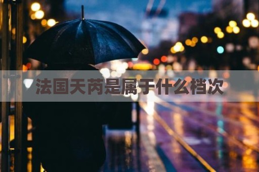 法国天芮是属于什么档次