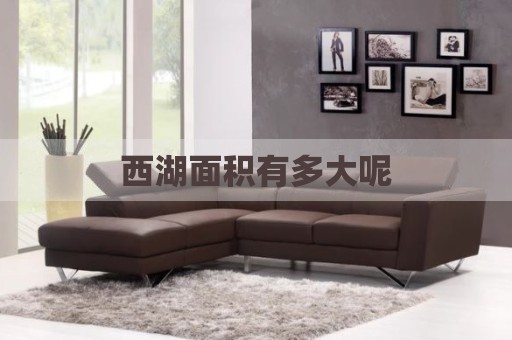 西湖面积有多大呢