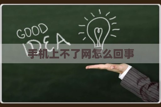 手机上不了网怎么回事