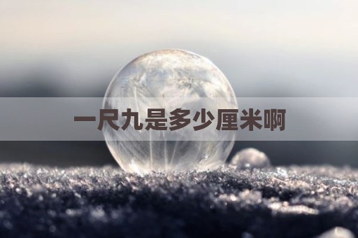 一尺九是多少厘米啊