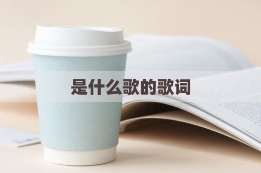 是什么歌的歌词