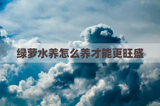 绿萝水养怎么养才能更旺盛