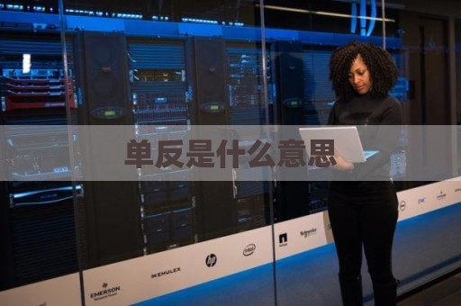 单反是什么意思