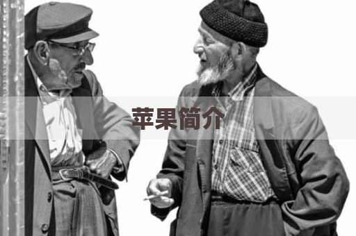 苹果简介
