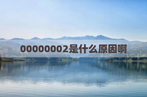 00000002是什么原因啊