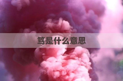 笃是什么意思