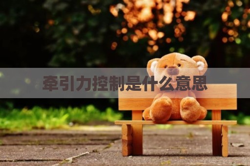 牵引力控制是什么意思