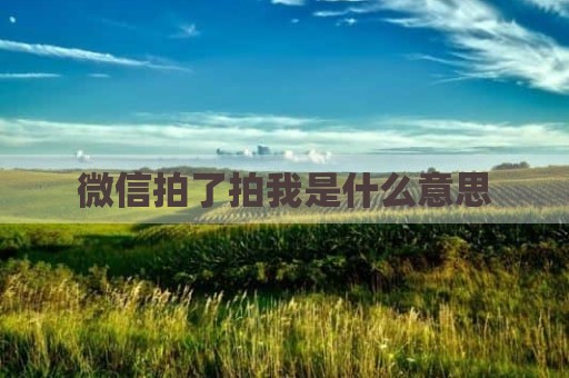 微信拍了拍我是什么意思