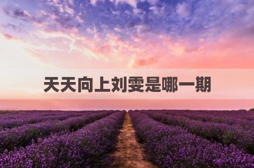 天天向上刘雯是哪一期