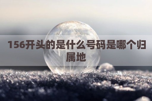 156开头的是什么号码是哪个归属地