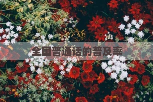全国普通话的普及率