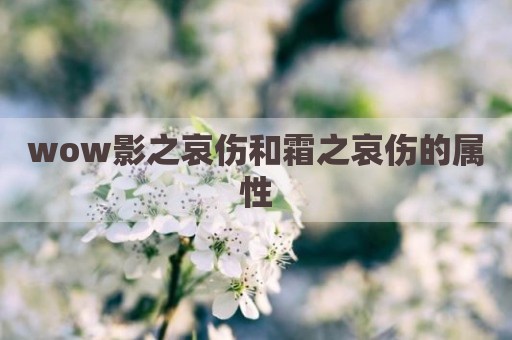 wow影之哀伤和霜之哀伤的属性