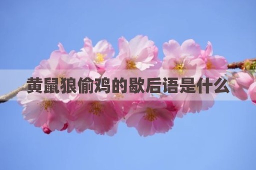 黄鼠狼偷鸡的歇后语是什么