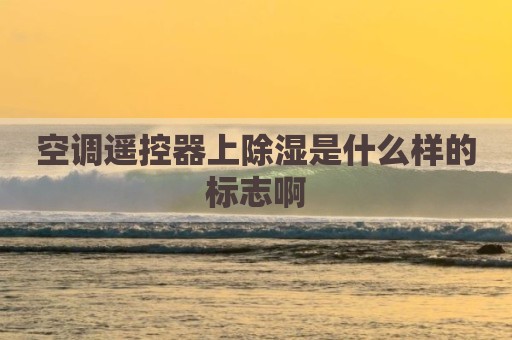 空调遥控器上除湿是什么样的标志啊