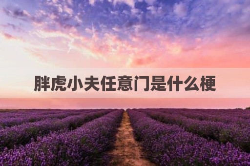 胖虎小夫任意门是什么梗