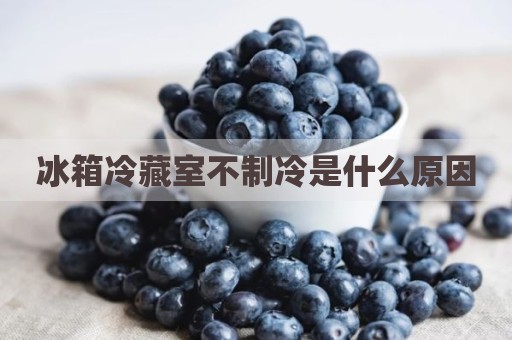 冰箱冷藏室不制冷是什么原因