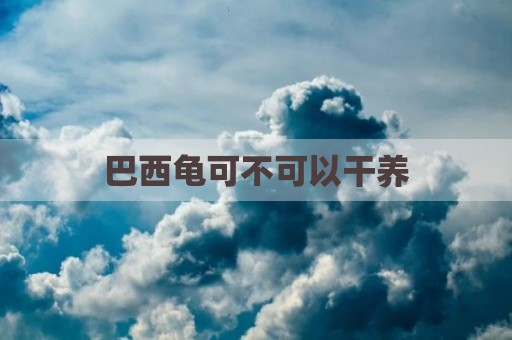 巴西龟可不可以干养