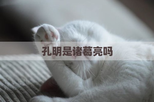 孔明是诸葛亮吗