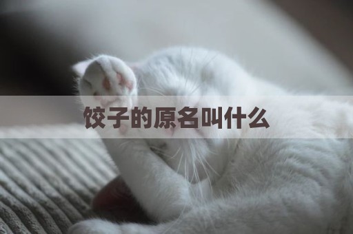 饺子的原名叫什么