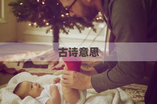 古诗意思