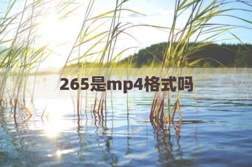 265是mp4格式吗