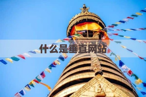 什么是垂直网站