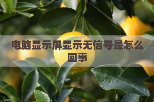 电脑显示屏显示无信号是怎么回事
