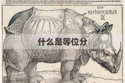 什么是等位分