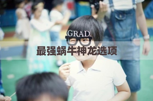 最强蜗牛神龙选项