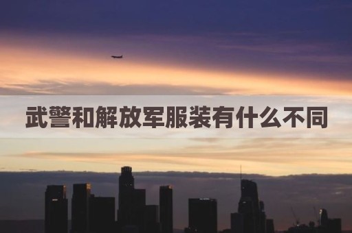 武警和解放军服装有什么不同