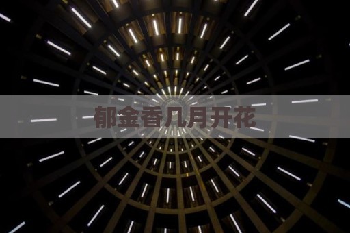 郁金香几月开花