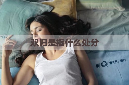 双归是指什么处分