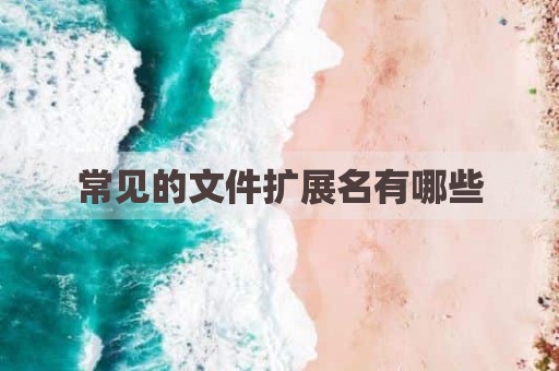 常见的文件扩展名有哪些