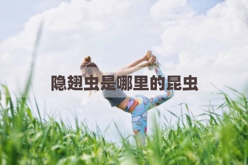 隐翅虫是哪里的昆虫