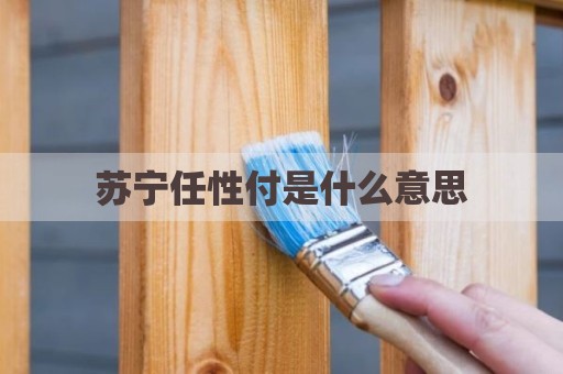 苏宁任性付是什么意思