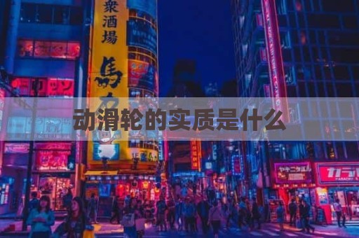 动滑轮的实质是什么