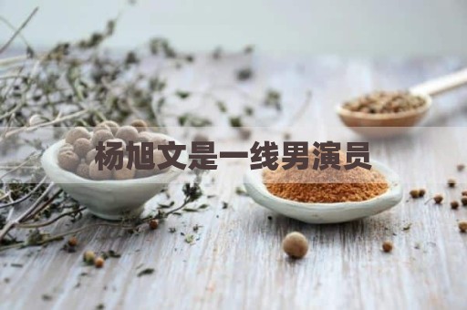 杨旭文是一线男演员