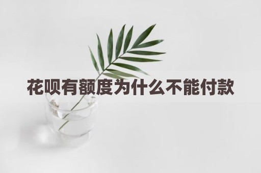 花呗有额度为什么不能付款