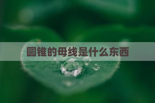圆锥的母线是什么东西