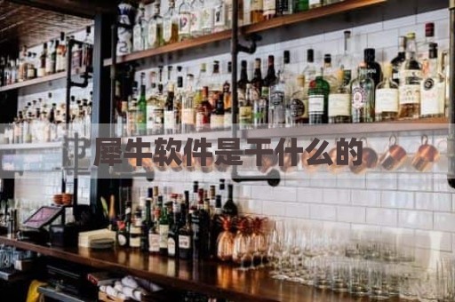 犀牛软件是干什么的