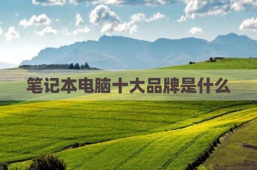 笔记本电脑十大品牌是什么