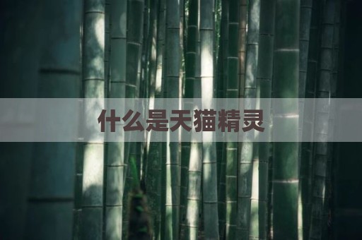 什么是天猫精灵