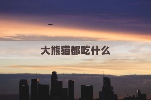 大熊猫都吃什么