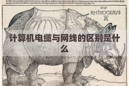 计算机电缆与网线的区别是什么
