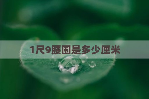 1尺9腰围是多少厘米
