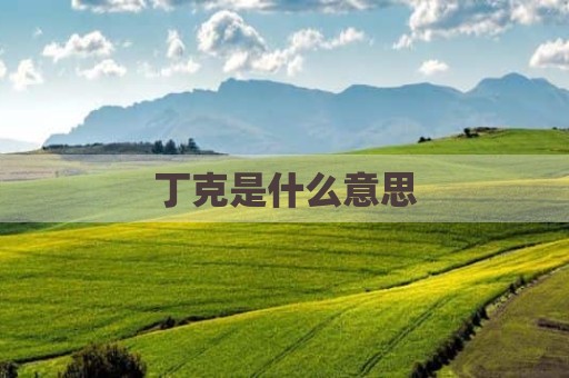 丁克是什么意思
